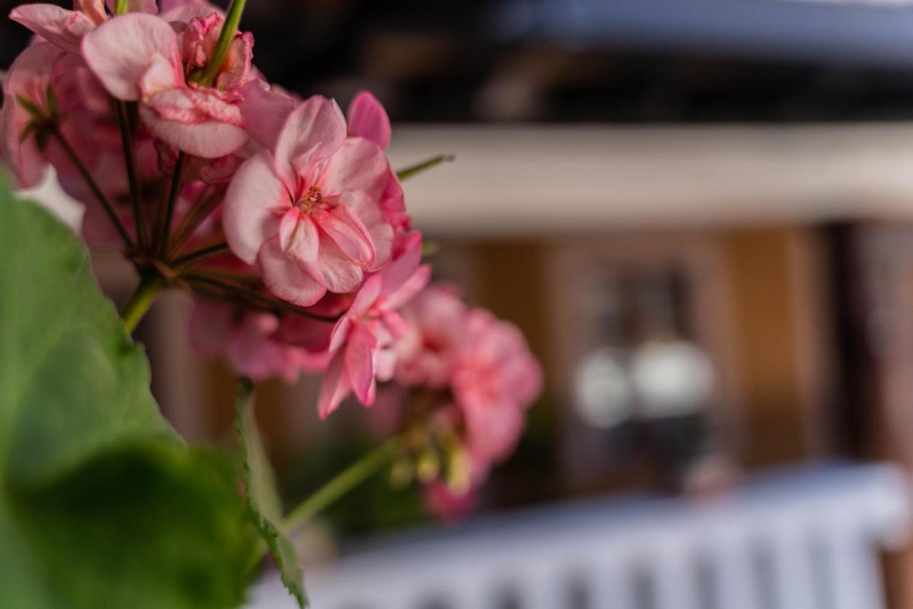 Casa Graciela Hotel 파츠쿠아로 외부 사진